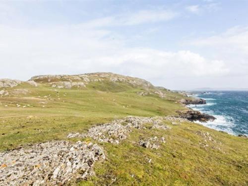The Beach, Days Bar And B&B Inishbofin Zewnętrze zdjęcie